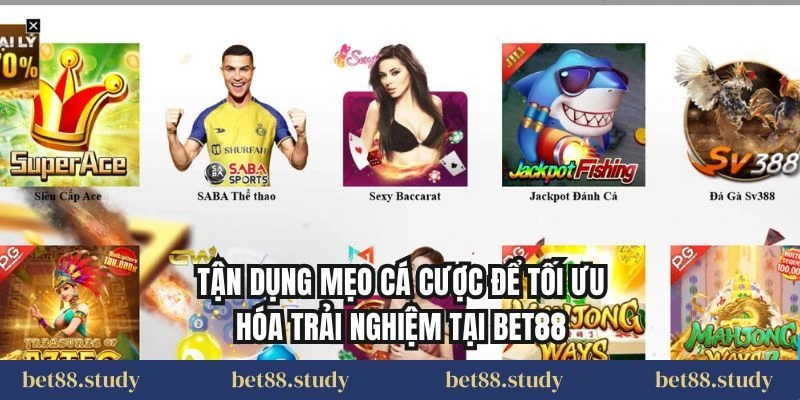 Tận dụng mẹo cá cược để tối ưu hóa trải nghiệm tại BET88